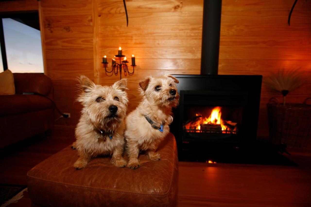 Birds Ferry Lodge Luxury B&B Westport Dış mekan fotoğraf